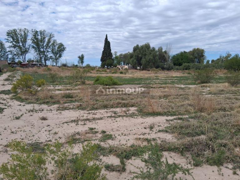 Lote en Venta en Junin, Mendoza