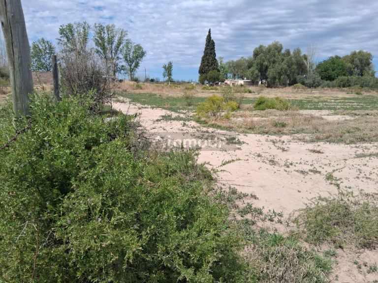Lote en Venta en Junin, Mendoza