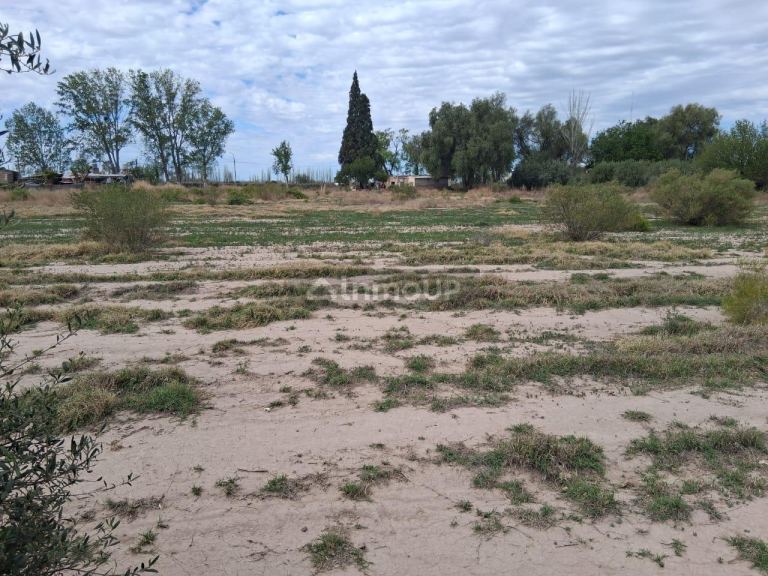 Lote en Venta en Junin, Mendoza