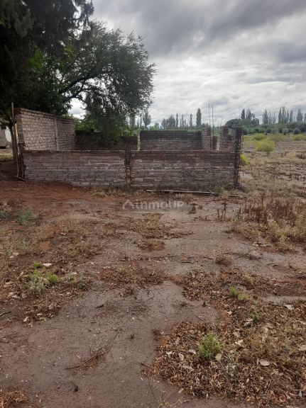Lote en Venta en Junin, Mendoza