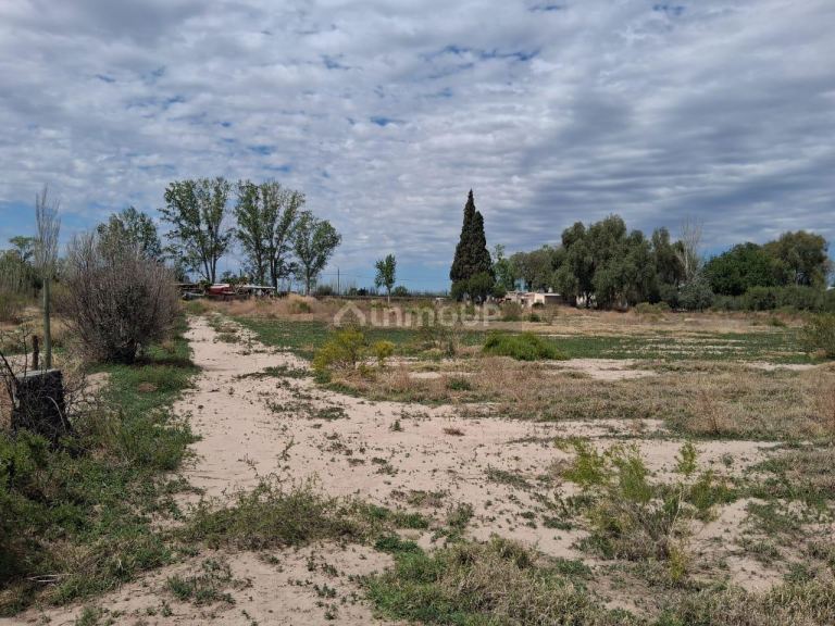 Lote en Venta en Junin, Mendoza