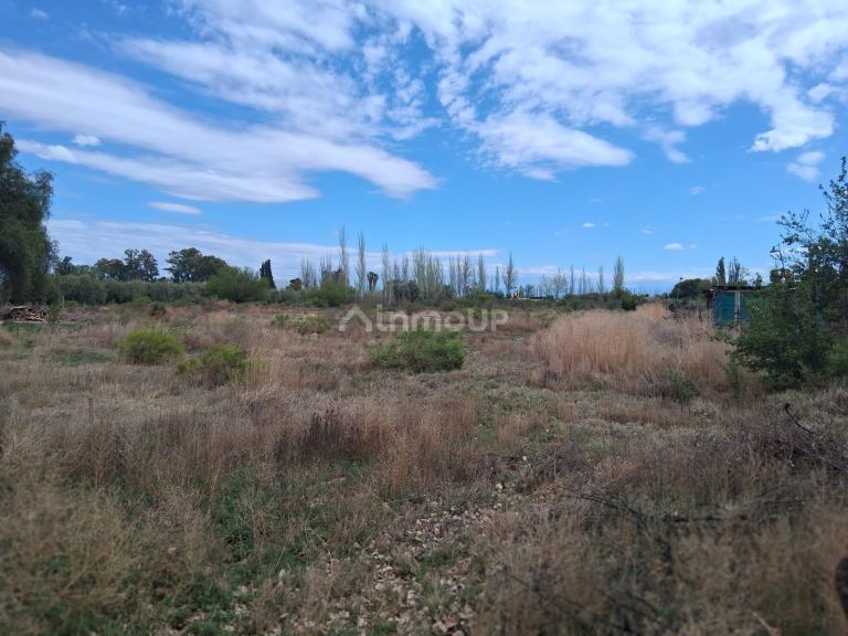 Lote en Venta en Junin, Mendoza