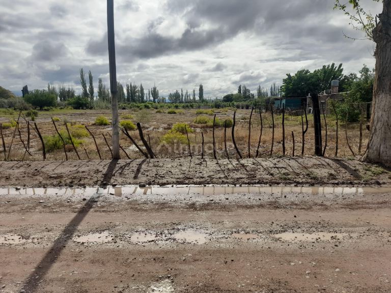 Lote en Venta en Junin, Mendoza