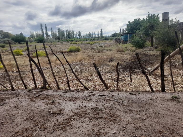 Lote en Venta en Junin, Mendoza