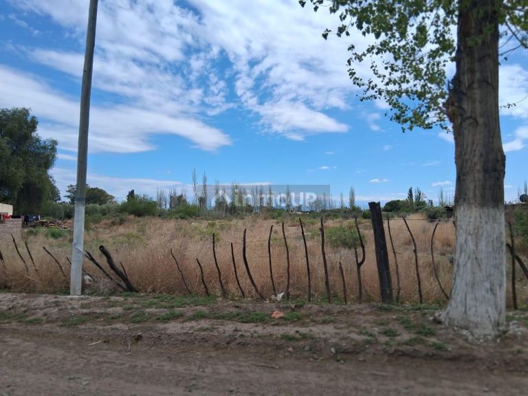 Lote en Venta en Junin, Mendoza