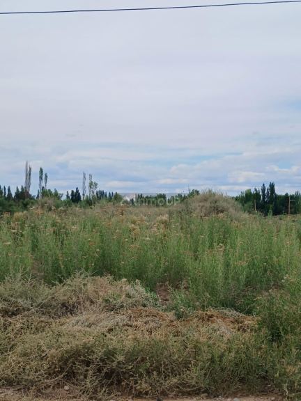Lote en Venta en Guaymallen, Mendoza