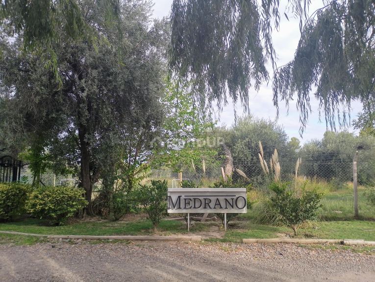 Lote en Venta en Lujan de Cuyo, Mendoza