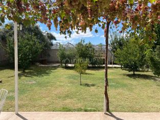 Junin corvalan y 2 de septiembre 0,  Junín,  La Colonia,  Mendoza,  Argentina