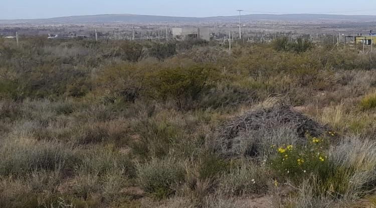 Lote en Venta en Las Heras, Mendoza