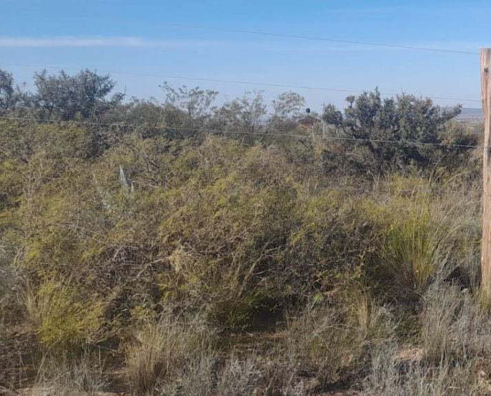 Lote en Venta en Las Heras, Mendoza