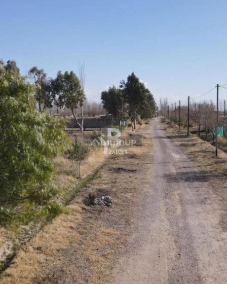 Lote en Venta en Lujan de Cuyo, Mendoza