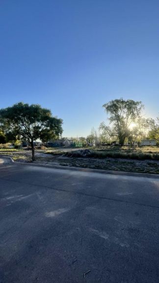 Lote en Venta en Lujan de Cuyo, Mendoza