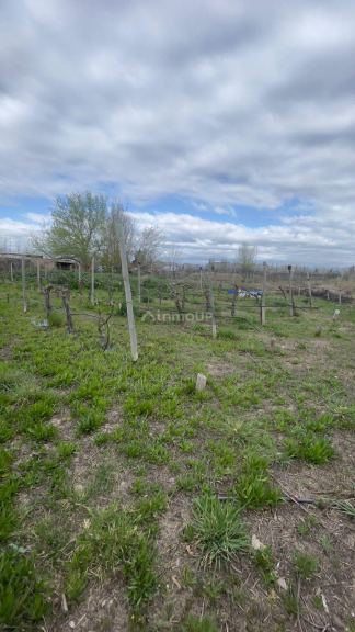 Lote en Venta en Lujan de Cuyo, Mendoza