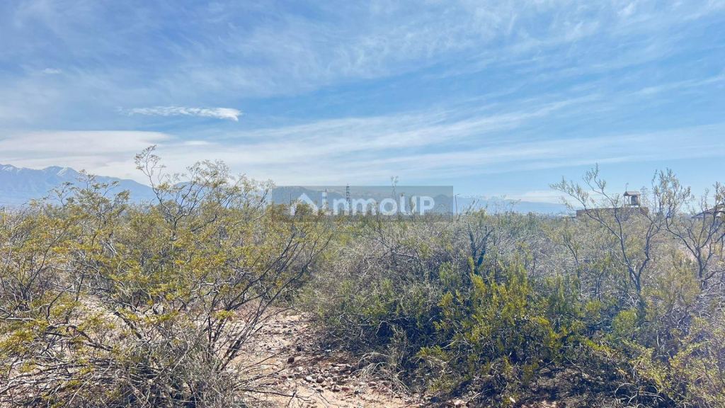 Lote en Venta en Lujan de Cuyo, Mendoza