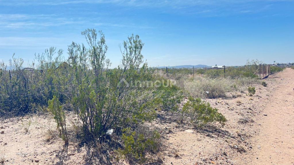 Lote en Venta en Lujan de Cuyo, Mendoza