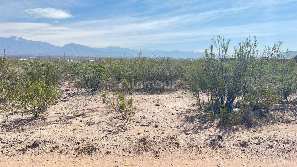 Lote en Venta en Lujan de Cuyo, Mendoza