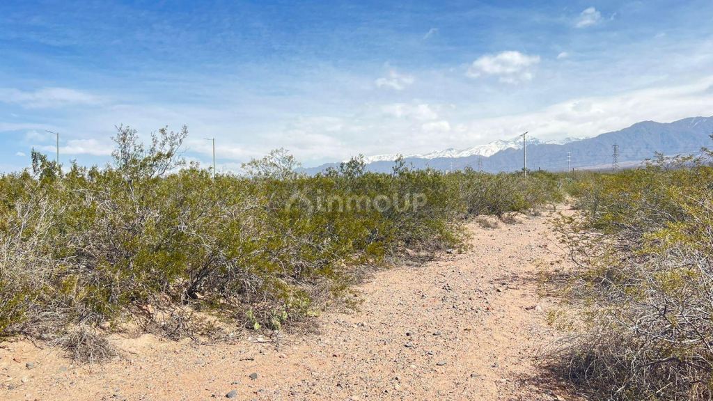 Lote en Venta en Lujan de Cuyo, Mendoza