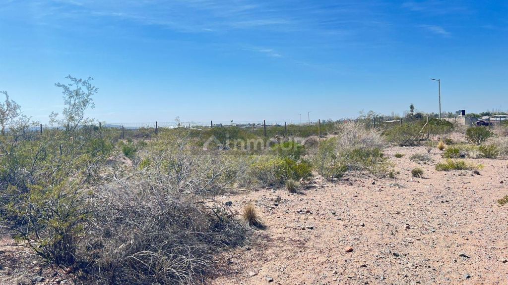 Lote en Venta en Lujan de Cuyo, Mendoza