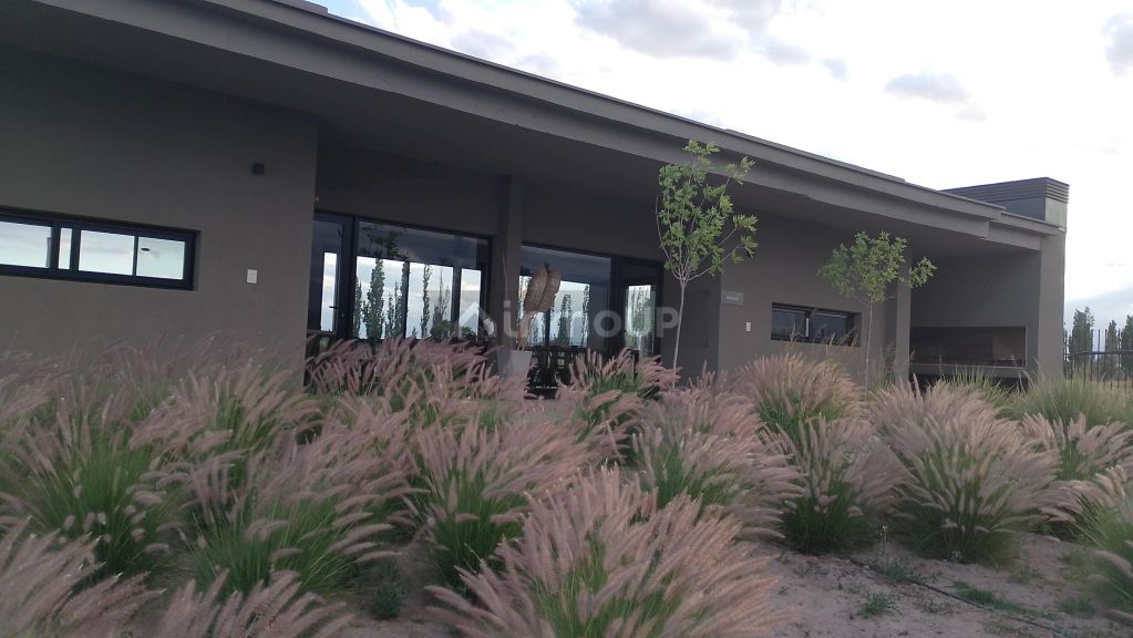 Lote en Venta en Lujan de Cuyo, Mendoza