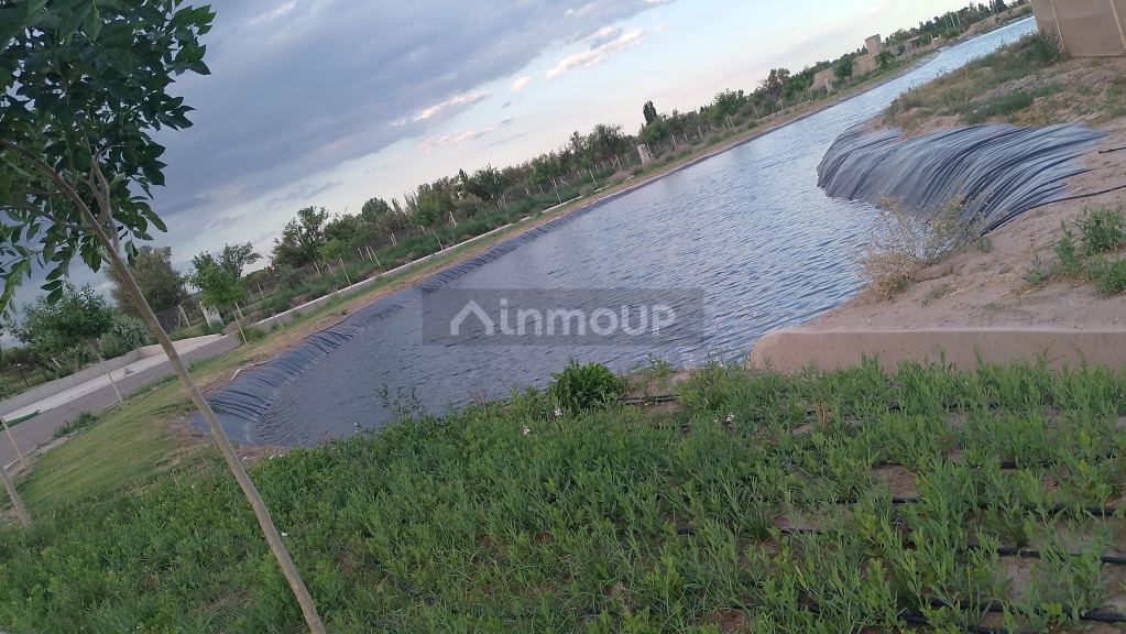 Lote en Venta en Lujan de Cuyo, Mendoza