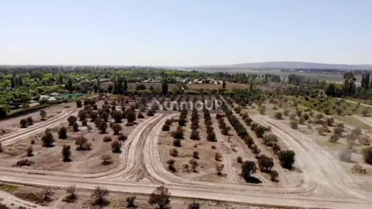 Lote en Venta en Lujan de Cuyo, Mendoza