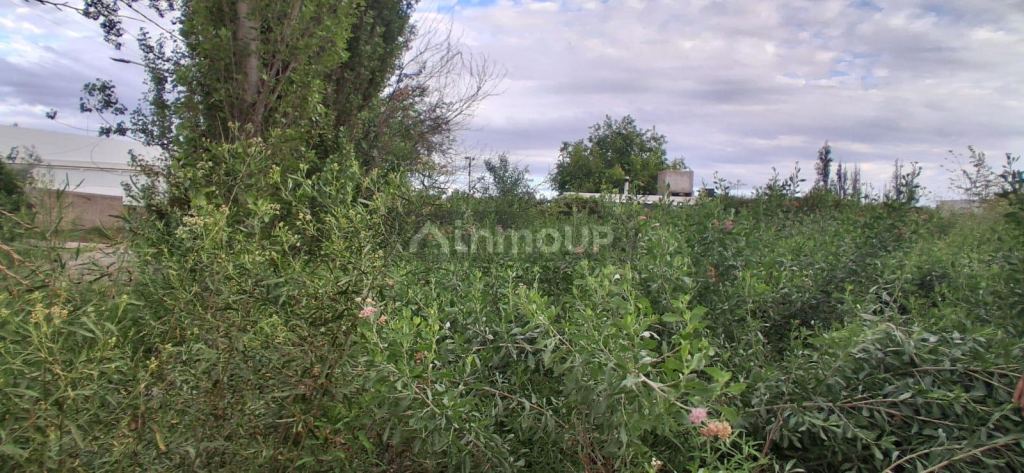 Lote en Venta en Guaymallen, Mendoza