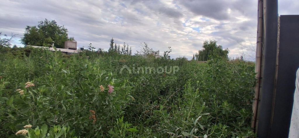 Lote en Venta en Guaymallen, Mendoza