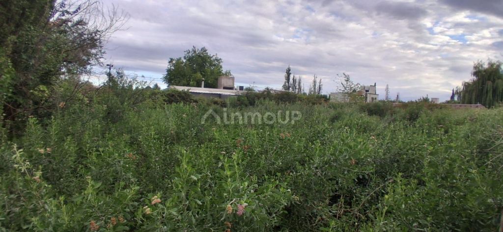Lote en Venta en Guaymallen, Mendoza