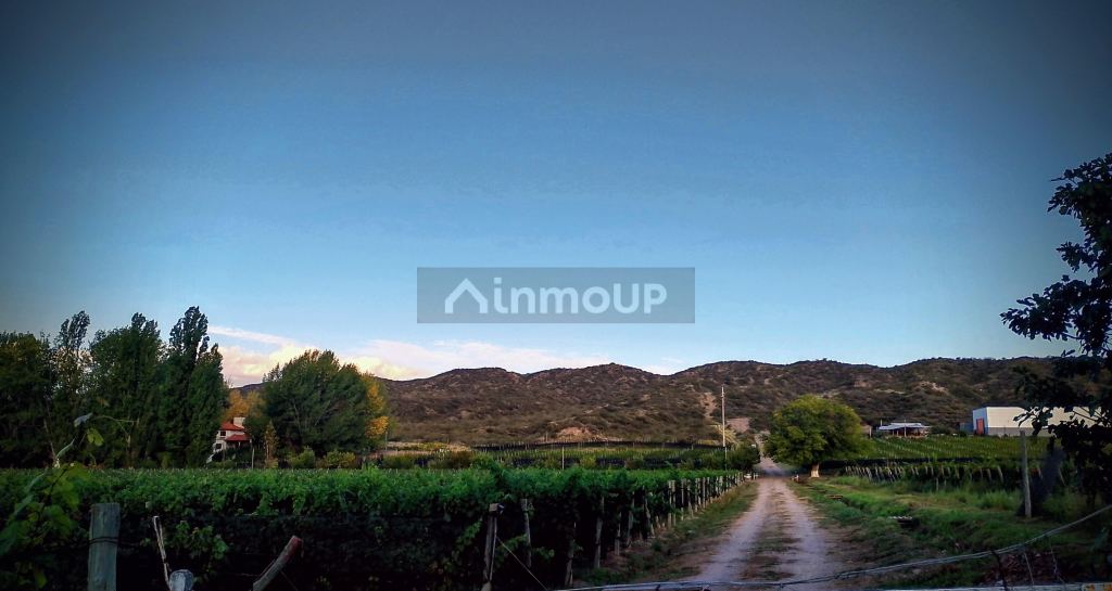 Lote en Venta en Lujan de Cuyo, Mendoza