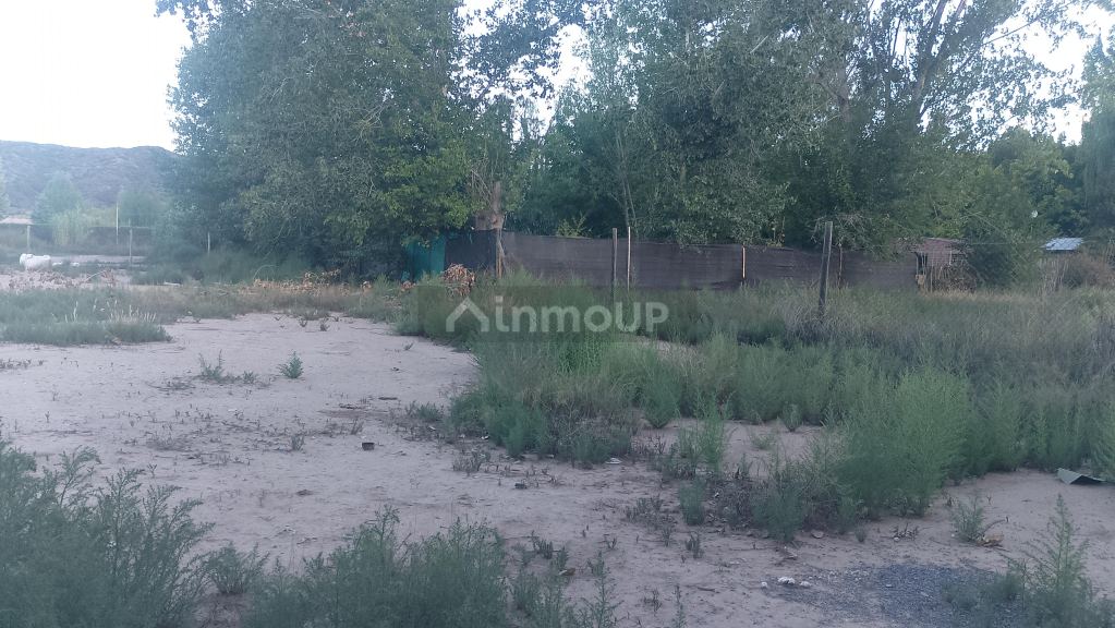 Lote en Venta en Lujan de Cuyo, Mendoza