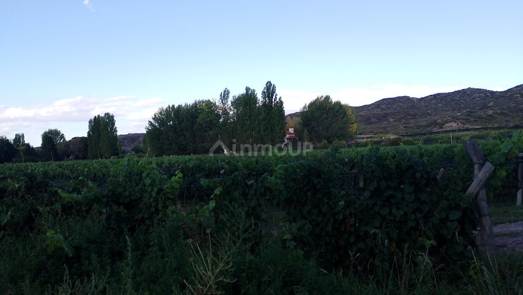 Lote en Venta en Lujan de Cuyo, Mendoza