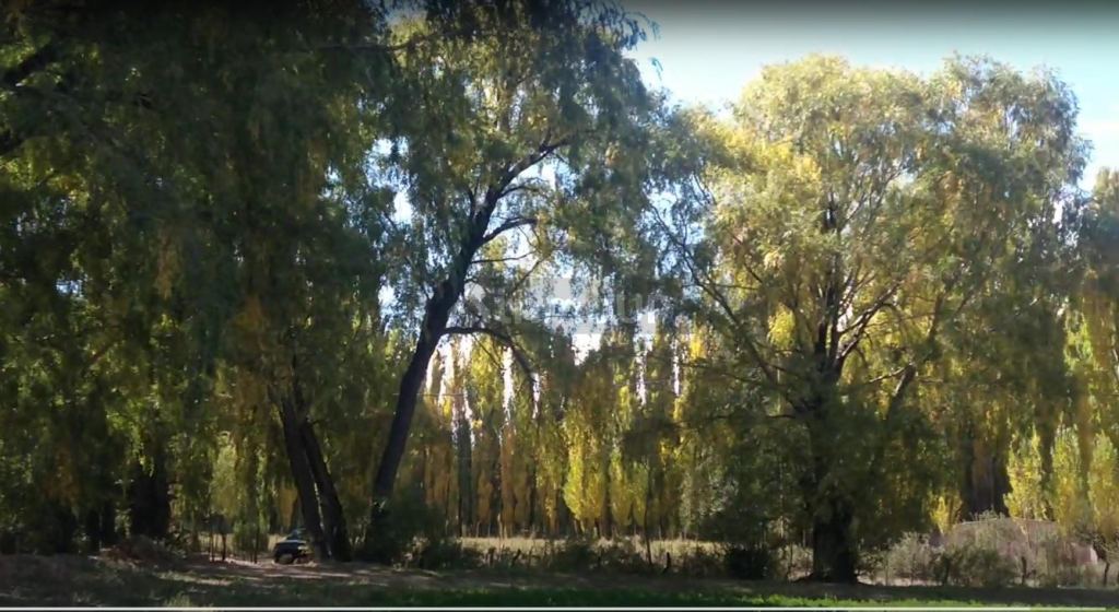 Lote en Venta en Las Heras, Mendoza