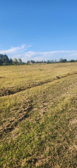 Lote en Venta en Maipu, Mendoza