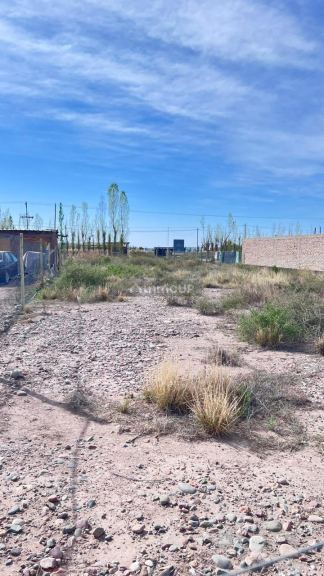 Lote en Venta en Lujan de Cuyo, Mendoza