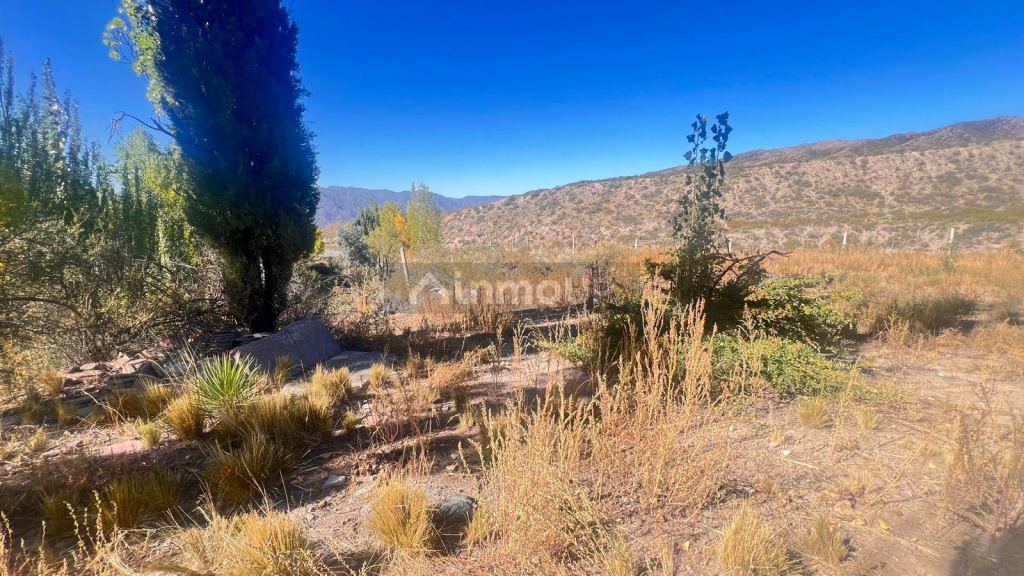 Lote en Venta en Lujan de Cuyo, Mendoza