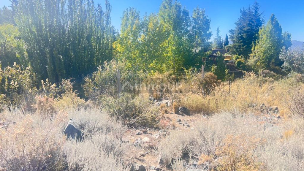 Lote en Venta en Lujan de Cuyo, Mendoza