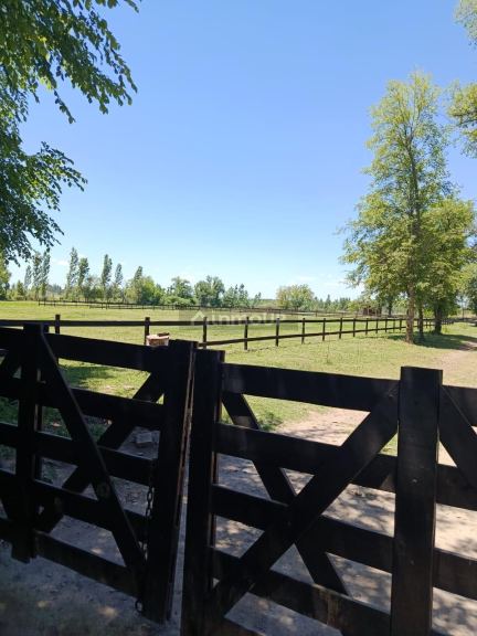 Lote en Venta en Tunuyan, Mendoza