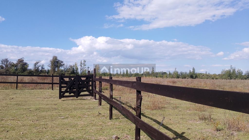 Lote en Venta en Tunuyan, Mendoza