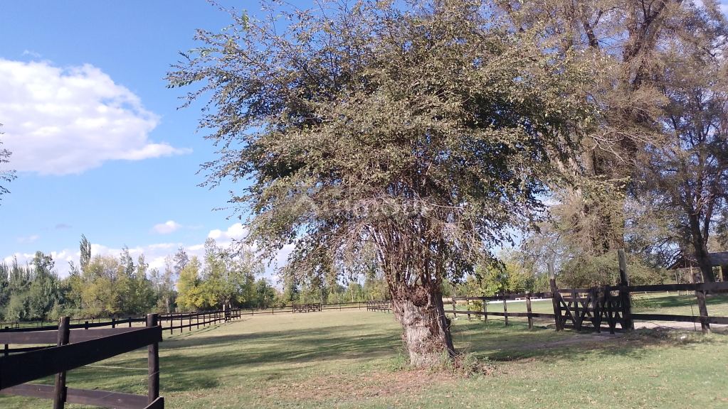 Lote en Venta en Tunuyan, Mendoza