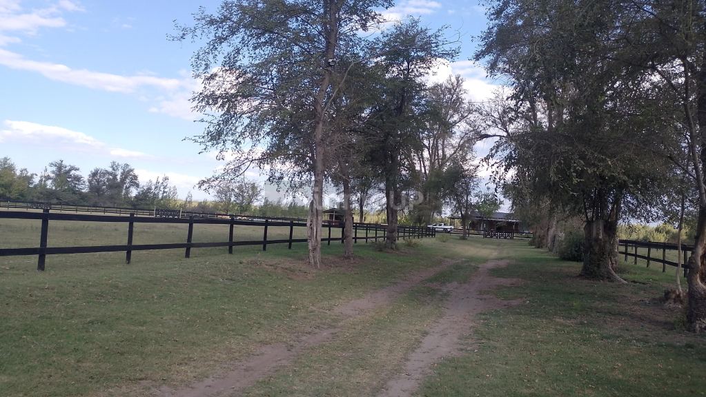 Lote en Venta en Tunuyan, Mendoza