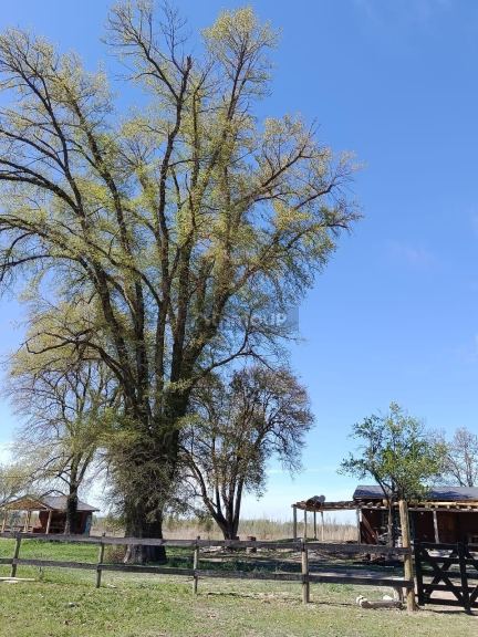 Lote en Venta en Tunuyan, Mendoza