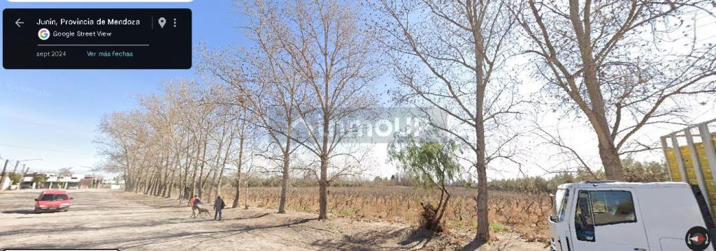 Lote en Venta en Junin, Mendoza