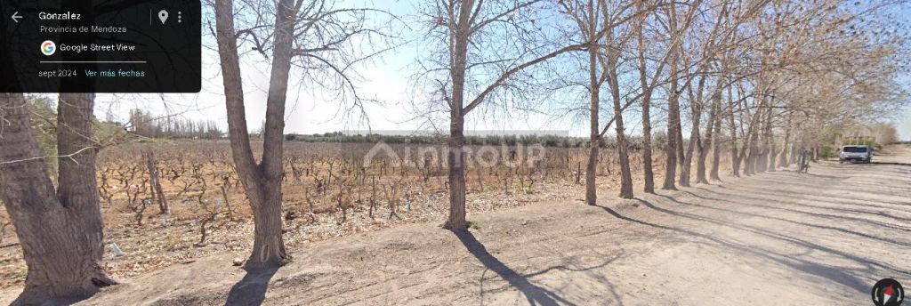 Lote en Venta en Junin, Mendoza