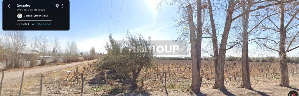 Lote en Venta en Junin, Mendoza