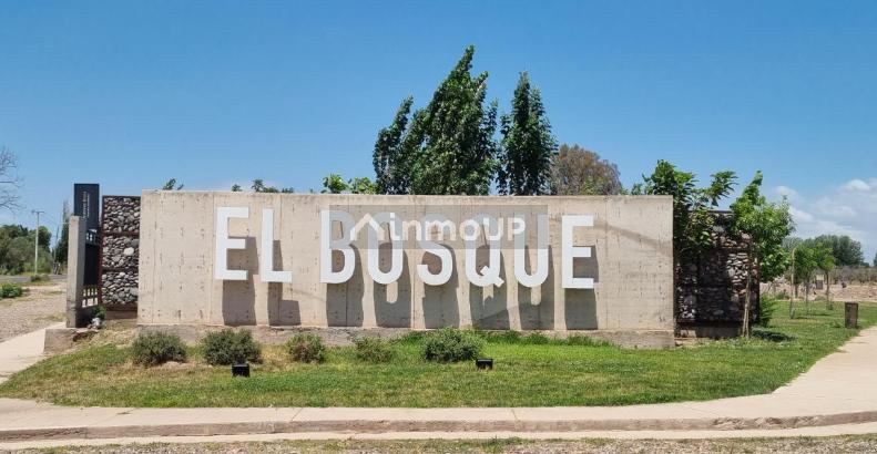 Lote en Venta en Maipu, Mendoza