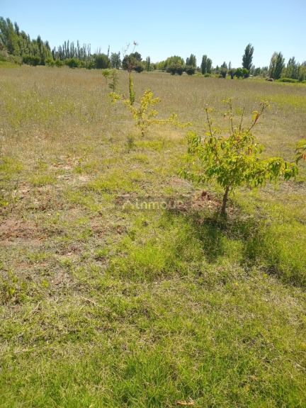 Lote en Venta en Maipu, Mendoza