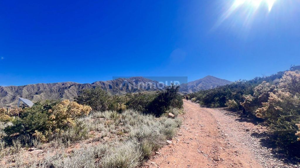 Lote en Venta en Lujan de Cuyo, Mendoza