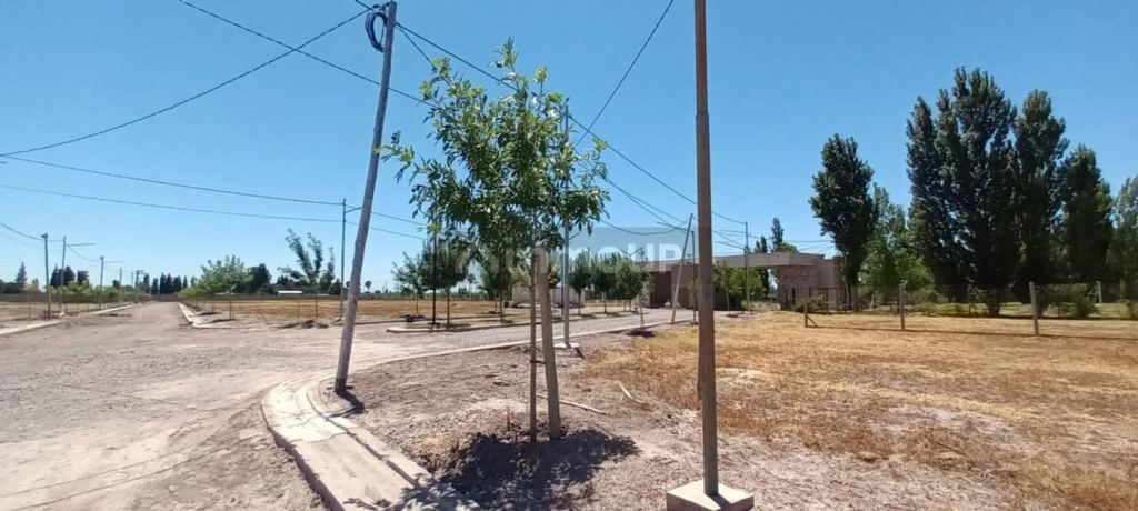 Lote en Venta en Maipu, Mendoza