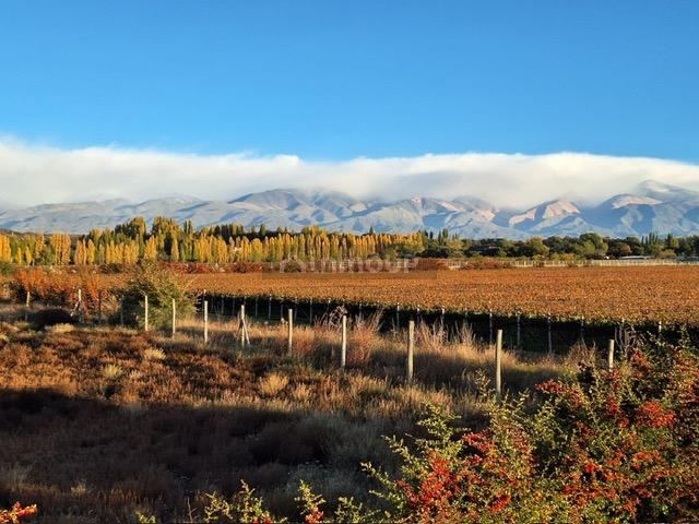 Lote en Venta en Tupungato, Mendoza
