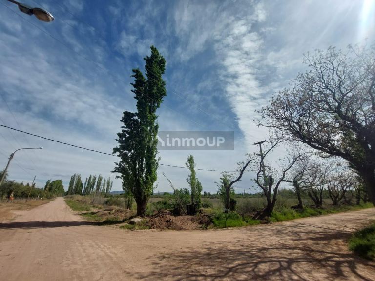 Finca en Venta en San Rafael, Mendoza